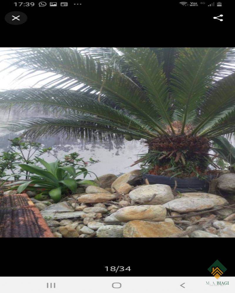 Casa, 3 quartos, 504 m² - Foto 5