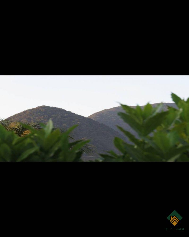 Casa, 3 quartos, 504 m² - Foto 25