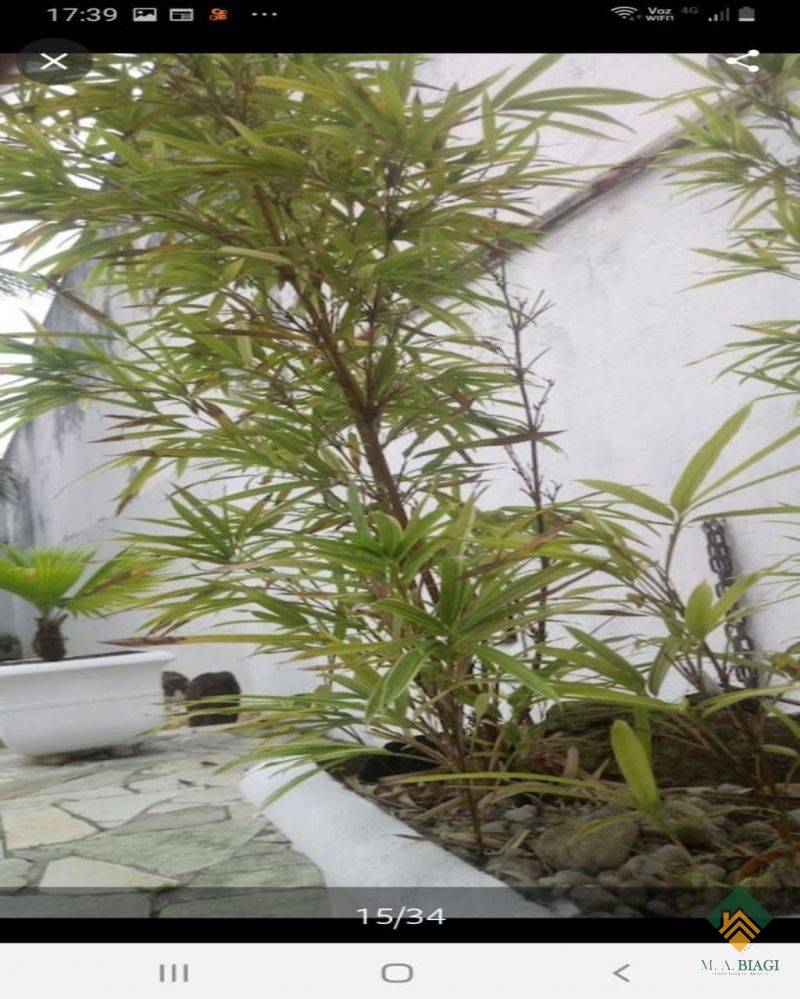 Casa, 3 quartos, 504 m² - Foto 29