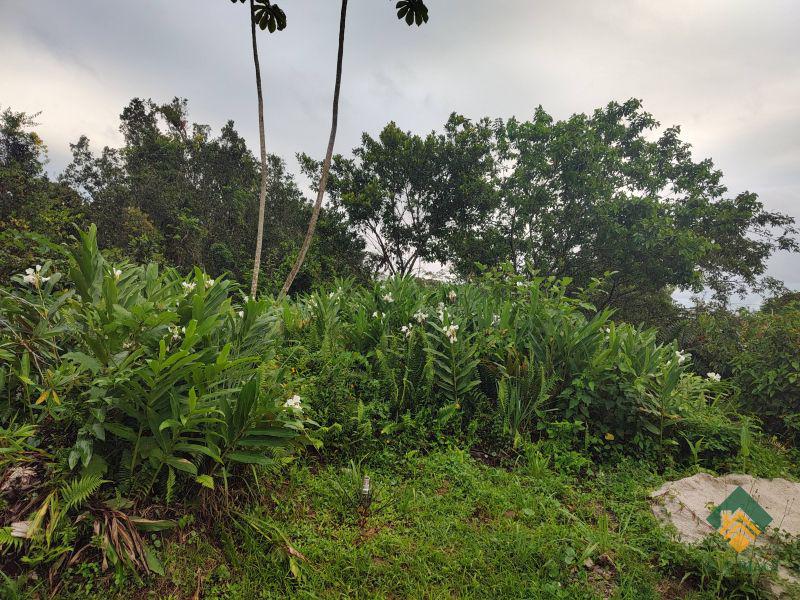 Terreno, 504 m² - Foto 1