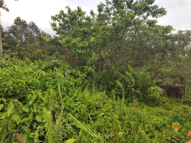 Terreno, 504 m² - Foto 2