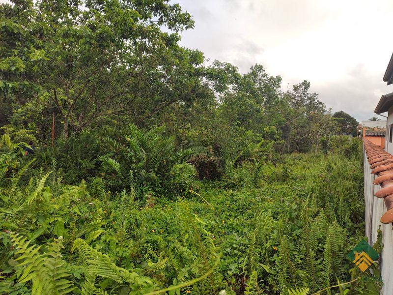 Terreno, 504 m² - Foto 3